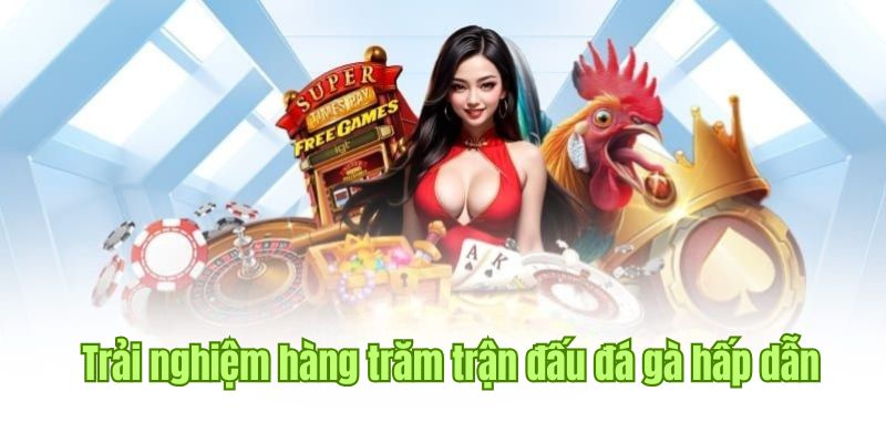 Tại nhà cái F168, người chơi có thể tham gia cá cược đá gà trực tuyến một cách dễ dàng